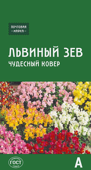 Семена Львиный зев Чудесный ковёр

Веселая яркая смесь с обильным и продолжительным цветением. Растения карликовые, сильноветвистые, смыкаясь, образуют пестрый цветущий ковер. Кистевидные ароматные соцветия длиной 7 см могут быть самых разнообразных окрасок: от светлых и нежных до насыщенно-пурпурных или двуцветных. Цветки долго не увядают. Холодостоек, неприхотлив. Высаживают в бордюрах, на клумбах группами, в контейнерах.