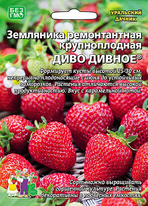 Семена Земляника (клубника) Диво дивное ремонтантная