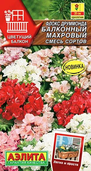 Семена Флокс Друммонда Балконный махровый. Компактная смесь однолетнего флокса с махровыми и полумахровыми цветками. Растения формируют кустики высотой до 20 см. Ароматные цветки  диаметром 2-3 см, собраны в крупные соцветия и держатся высоко над листвой, образуя большой цветущий шар. Смесь идеально подходит для выращивая в балконных ящиках и контейнерах (расстояние между растениями 15-20 см, для горшка  диаметром 10-15 см. достаточно 1 растения). Подходит для бордюров, цветников и садовых вазонов.<br>
 <br>
  Флокс друммонда – растение холодостойкое и светолюбивое. Относительно засухоустойчивое, но в жаркую сухую погоду нуждается в поливах. Предпочитает плодородные, дренированные, некислые почвы.<br>
 <br>
 <br>
 <br>
 <br>