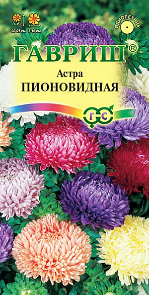 Семена Астра Пионовидная.
Растение пирамидальной формы, высотой 60-65 см. Цветоносы прочные. Соцветия махровые, диаметром 8-10 см, различной окраски. 
Язычковые цветки плотно прижаты друг к другу и загнуты в середину.
Для выращивания подходят хорошо освещенные участки с плодородной суглинистой или супесчаной почвой. 
Астры обладают высокой холодостойкостью – хорошо переносят заморозки до -3-4°C. Выращивают, чаще всего, рассадным способом. 
Семена высевают в марте-апреле, пикируют с развитием первой пары настоящих листочков по схеме 5х5 см, в открытый грунт рассаду высаживают с середины мая до начала июня. Возможен подзимний посев астр: в конце октября на глубину 5-8 см. Сверху посевы мульчируют торфом или опилками на высоту 3-5 см. Весной, в конце марта-начале апреля, посевы раскрывают. Появившиеся в конце апреля всходы будут закаленными, а выросшие растения сильными, устойчивыми к заморозкам и обильно цвести.
Используются для получения срезки и оформления участка.