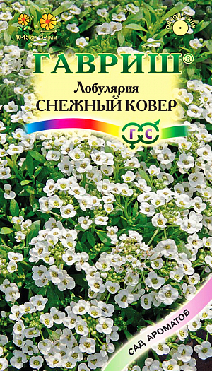 Семена Лобулярия Снежный ковер.
Однолетнее растение из семейства крестоцветных. Кусты низкие, густоветвящиеся, компактные, высотой 10—15 см. 
Листья узколанцетные. Цветки мелкие 3-4 мм в диаметре, собраны в кистевидные соцветия, белого цвета, с сильным запахом меда, сплошь покрывают кусты во время цветения. 
Цветет с конца июня до октября. Семена высевают в грунт в апреле-мае или в марте на рассаду. 
Расстояние между растениями выдерживают 15-20 см. Возможен подзимний посев. Дает обильный самосев. 
К почвам нетребовательна, светолюбива, холодоустойчива. Используют для всех видов цветников. Прекрасный медонос.