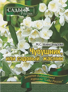Александрова М.С. "Чубушник или садовый жасмин" Александрова М.С. "Чубушник или садовый жасмин"