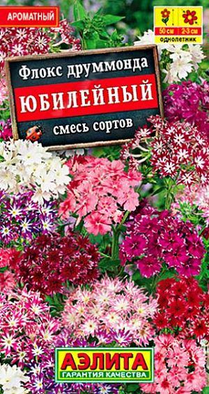 Семена&nbsp;Флокс Юбилейный.&nbsp;Множество оттенков в одной смеси – от белого до пурпурного! Цветки, преимущественно, звездчатые, диаметром 2-3 см. Собраны в крупные яркие соцветия, обладающие приятным, тонким ароматом. Сорт отличается ранним и продолжительным цветением. Кустики компактные, высотой до 50 см. Засухоустойчивый и холодостойкий сорт. Для пышного цветения необходима хорошая освещенность. Корневая система поверхностная – требует аккуратного рыхления и ухода. Сорт используют в составе высокорослых цветочных композиций, миксбордеров, в качестве контейнерной культуры.<br>
 <br>
 &nbsp;Сеянцы пикируют в фазе одной пары настоящих листьев. Посадки размещают на плодородных, хорошо дренированных почвах.<br>
