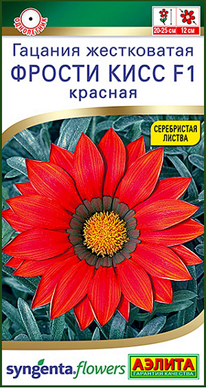 ООО «Агрофирма АЭЛИТА» — официальный дистрибьютор компании Syngenta Flowers.

Серия «Фрости Кисс F1» зацветает раньше большинства известных гибридов этой культуры. Цветки максимально крупные для гацаний – диаметром 10-12 см. Они расположены над серебристо-зелеными листьями, дружно и непрерывно распускаются до осени. Мощная корневая система и декоративная опушенность листьев обеспечили серии феноменальную устойчивость к засухе, жаре, прямым солнечным лучам. Растения образуют густые, компактные листовые розетки, высотой и шириной около 20-25 см. Гацании великолепно выглядят в цветниках, на каменистых горках, в качестве срезочной и бордюрной культуры.

Многолетник по своей природе, но в условиях открытого грунта средней полосы не зимует, выращивается как летник. Осенью гацанию пересаживают в вазоны и заносят в дом, чтобы обеспечить ей зимовку в светлом прохладном помещении (+8...+10°С). Растению необходимы легкие питательные почвы, без избытка влаги.