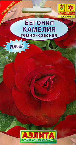 Семена Бегония Камелия темно-красная.
Компактные растения с многочисленными побегами, с густомахровыми крупными цветками. Цветки напоминают розы, украшают сады с июня до первых морозов. Большое достоинство бегоний серии Камелия - способность придавать праздничное убранство затенённым уголкам сада. При регулярном поливе возможны посадки на открытых солнечных участках. Растения образуют клубни, которые можно сохранить до следующего сезона. Пригодны для цветников любого типа: клумб, садовых и балконных контейнеров, настенных и подвесных кашпо. Неприхотливы в уходе, легко переносят пересадку.
Агротехника. Посев на рассаду с февраля до апреля. Семена в гранулах! Посев поверхностный, без заделки (семена прорастают на свету!), под стекло или пленку для сохранения постоянной влажности до полных всходов. Гранулы при посеве должны раствориться! Февральским посевам требуется дополнительная подсветка. Всходы появляются на 5-6 день. Пикировка в фазе 1-2-х настоящих листьев. Высадка в грунт закаленной рассады в конце мая. Для продолжительного и обильного цветения растениям необходим своевременный полив, регулярная прополка, рыхление и подкормка минеральными удобрениями.