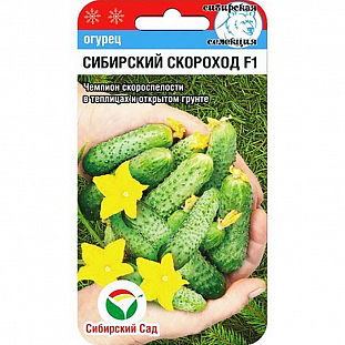 Семена Огурца Описание Фото Семена Огурца Описание Фото