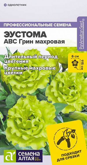 Эустома ABC Грин махровая<br>
 <br>
Срезочный сорт с длительным периодом цветения. Цветки махровые, зеленой окраски (интенсивность цвета может варьироваться в зависимости от освещенности и кислотности грунта), в фазе полуроспуска напоминают бутоны роз, в срезке долго не осыпаются. Можно выращивать в комнатных условиях как многолетнее растение. При достаточном количестве света и минерального питания в комнатных условиях цветет с зимы. Используется для оформления клумб, рабаток, бордюров. Высота растения: 90-115 см. Диаметр цветка: 5-6 см. Время до появления всходов: 7-14 дней Перевалка: производится в стадии 2-4 настоящих листьев в рассадные емкости диаметром около 9 см Время высадки в открытый грунт: май-июнь, не менее 10-14 недель от посева Посадочное расстояние: 15-25 см Период цветения: июнь-август, с 14-18 недели от полных всходов, январь-август при выращивании в качестве комнатного растения Уход: досветка растений 12-16 часов в сутки, рекомендуется провести прищипывание для стимуляции ветвления на 8-10 неделе, первую подкормку проводят в фазе 2-4 настоящих листьев комплексным минеральным удобрением, далее – 1 раз в 2 недели. В начале бутонизации из подкормок убирают азот. Внимание! Семена дражированные, оболочку драже не разрушать, она растворяется при поливе!