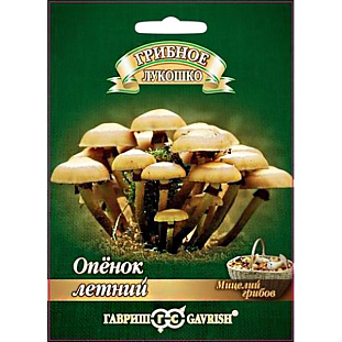 Мицелий грибов Опенок летний Мицелий грибов Опенок летний