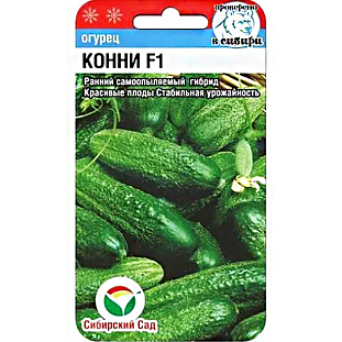 Семена Огурец Конни F1