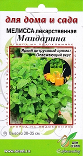 Мелисса Мандарин лекарственная