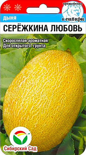 Семена Дыня Сережкина любовь
