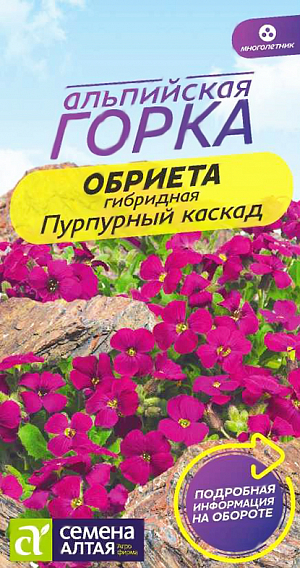 <div>
 Семена Обриета Пурпурный каскад.
</div>
Вечнозеленый стелющийся травянистый многолетник, представляет собой цветочный ковер. Растение низкорослое (высота около 10 см), с мелкими, около 1 см в диаметре, пурпурными цветками, обильно покрывающими все растение. Используется для оформления альпийских горок, рокариев, бордюров. Светолюбивое зимостойкое растение. Предпочитает открытые участки с легкими, умеренно плодородными, хорошо дренированными нейтральными почвами. Не переносит кислых почв, требуется их нейтрализация. На рассаду семена высевают в конце февраля – марте. Обриета негативно реагирует на пересадку, поэтому посев лучше проводить в торфяные горшочки, вместе с которыми растения будут высаживаться в открытый грунт. Горшочки наполняют субстратом, увлажняют его, на поверхность выкладывают семена по 2-3 в каждый горшочек. Посевы присыпают тонким слоем песка (0,3-0,5 см), сверху увлажняют из пульверизатора и накрывают пленкой. Емкости с посевами содержат в светлом помещении при температуре +20°С. Посевы периодически проветривают, при необходимости увлажняют грунт. Первые всходы появляются спустя 20-30 дней, после укрытие убирают. Поливать нужно аккуратно, т.к. сеянцы негативно реагируют на избыток влаги в грунте. Подросшую рассаду высаживают в открытый грунт, когда минует угроза заморозков. Посадочный интервал – 25-30 см. Возможен посев семян в открытый грунт ранней весной или под зиму на постоянное место с обязательным мульчированием посевов песком. Цветение пышное и длительное, с конца мая до середины июля. После первой волны цветения растения обрезают, что способствует образованию новых побегов и повторному цветению.