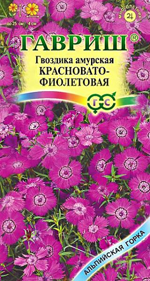 <div>
 Семена Гвоздика амурская, Красновато-фиолетовая.
</div>
 <article>
<p>
 Многолетнее низкорослое растение высотой 20-25 см. с сизыми листьями. Цветки изящные розовые с темным пятном в середине, довольно крупные, до 4 см. в диаметре. Массовое цветение в июне-июле, одиночные цветки появляются вплоть до сентября. Предпочитает солнечное местоположение, плодородную, некислую, суглинистую садовую почву. Не переносит переувлажнения и особенно застоя воды. Морозостойкое и холодостойкое. Посев в открытый грунт в мае, на рассаду в январе-марте. Всходы появляются на 10-14 день. Сеянцы пикируют в фазе двух-трех пар настоящих листочков. На постоянное место высаживают в начале мая или августе-сентябре, выдерживая расстояние между растениями 25-30 см. Образует густые заросли, изящные «коврики» и «подушки», заменяющие газон. Их используют для окаймления бордюров и украшения альпийских горок.
</p>
 </article>