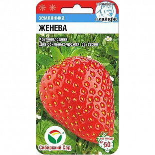 Семена Земляника (клубника) Женева крупноплодная