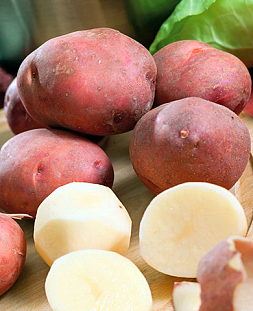 Семенной Картофель Ирбитский