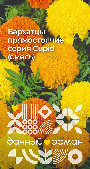 Семена Бархатцы прямостоячие серия Cupid (смесь)

Популярная смесь, широко используемая в городском и парковом озеленении. Растения компактные, с крупными махровыми соцветиями (до 9 см в диаметре) лимонной, золотисто-желтой, оранжевой окраски. Теплолюбивые и засухоустойчивые. Особенно хороши в массивных и бордюрных посадках. Можно высевать в грунт весной и под зиму. Отпугивают нематод

