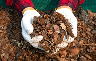 Компостная куча осенью: как превратить гору ботвы и листьев в черное золото к новому сезону? Лайфхаки быстрого приготовления Компостная куча осенью: как превратить гору ботвы и листьев в черное золото к новому сезону? Лайфхаки быстрого приготовления