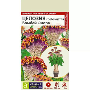 Семена Целозия Бомбей Фиора гребенчатая