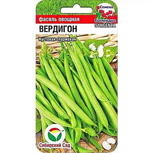 Семена Фасоль Вердигон Семена Фасоль Вердигон