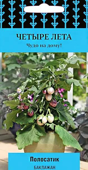 Семена Баклажан Полосатик Семена Баклажан Полосатик