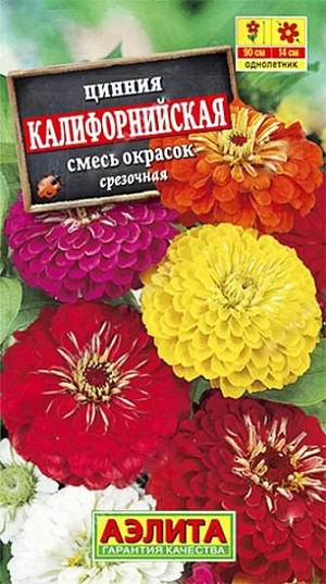 Семена Цинния Калифорнийская смесь окрасок.
Смесь цинний с экстра-крупными соцветиями (14-15 см в диаметре) на длинных цветоносах. Формирует мощные кусты высотой 80-90 см. Растения неприхотливые, быстрорастущие, обильно и продолжительно цветущие на солнечных участках с умеренно влажными почвами. Смесь имеет универсальное применение – на срезку и для оформления сборных цветников, где крупные растения отлично смотрятся на задних планах. Агротехника. Выращивают рассадным способом. С развитием первой пары настоящих листочков сеянцы пикируют. В фазе 5-6 листьев проводят формирующую прищипку. Рассаду высаживают в открытый грунт, когда минует опасность заморозков. Растениям необходимы регулярные поливы, прополки, рыхления и подкормки. Возможен посев семян в открытый грунт на глубину 1 см. 