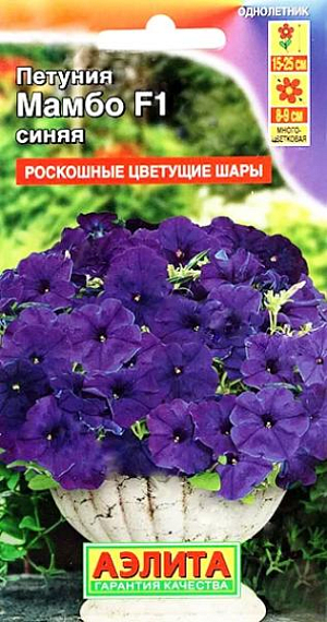 Семена&nbsp;Петуния Мамбо синяя F1.&nbsp;Ценная серия генетически низкорослых, обильно цветущих гибридов. Высота взрослых растений от 15 см. (в горшках) до 25 см. (о/г). Применять регуляторы роста не нужно. Компактные кусты цветут парадоксально крупными для карликов цветками&nbsp; диаметром 8-9 см. и выглядят роскошными цветущими шарами. Декоративность серии не страдает в ненастную погоду. Кустики стабильно сохраняют привлекательный вид, не вытягиваются. Серия пригодна для воплощения любых дизайнерских проектов при оформлении цветников открытого грунта, балконов, патио, уличных контейнеров.<br>
 <br>
Посев на рассаду с февраля до апреля. Семена в гранулах! Посев поверхностный, без заделки (семена прорастают на свету!), под стекло или пленку для сохранения постоянной влажности до полных всходов. Гранулы при посеве должны раствориться! Февральским посевам требуется дополнительная подсветка. Всходы появляются на 5-6 день. Пикировка в фазе 1-2-х настоящих листьев. Высадка в грунт закаленной рассады в конце мая.