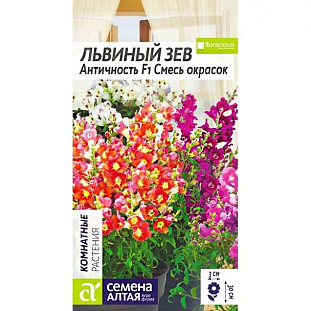 Семена Львиный зев Античность Смесь окрасок