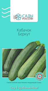 Семена Кабачок Беркут