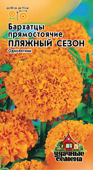 Семена Бархатцы Пляжный сезон прямостоячие.
Бархатцы-широко распространенные в декоративном озеленении растения. Образует куст высотой до 80 см с ясно выраженным главным побегом.
Соцветия до 15 см в диаметре, густомахровые, шаровидные, оранжевые. Цветение продолжительное в течение всего лета. 
Бархатцы светолюбивы и теплолюбивы, засухоусточивы. К почвам нетребовательны, но предпочитают плодородные легкие почвы. 
Выращивают, как правило, рассадным способом. Используют для посадки на клумбах, рабатках, бордюрах, в балконные ящики, можно использовать, как горшечную культуру.

