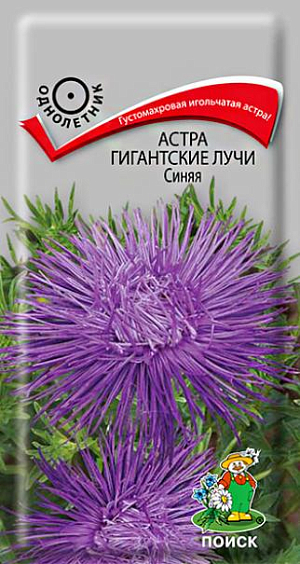Семена&nbsp;Астра Гигантские лучи Синяя.&nbsp;Густомахровая игольчатая астра!&nbsp;Растения высотой около 60 см. Соцветия густые, длинно-игольчатые, синие. Цветёт в августе-сентябре. Используют очень широко: для посадки в сборные цветники группами, на рабатки – рядами и для срезки.<br>
 <br>
&nbsp;Агротехника.&nbsp;Растение предпочитает открытое солнечное место, но выносит и легкое затенение. Лучше растет на легких, плодородных почвах. Не переносит внесения органических удобрений в год посадки. Семена высевают с середины февраля по апрель. Глубина заделки семян 0,5 см. При температуре почвы +20°C всходы появляются на 7-14 день. Через 3-4 недели посевы пикируют и выращивают при температуре +12-15°C. В грунт рассаду высаживают во второй половине мая, расстояние между растениями 20-30 см.