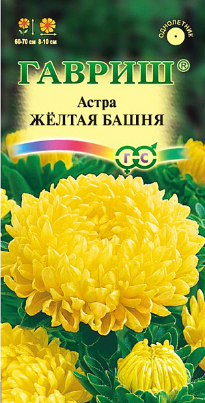 Семена Астра Желтая Башня.
Растение высотой 60-70 см. Соцветия махровые, пионовидные, диаметром 8-10 см. 
Для выращивания подходят хорошо освещенные участки с плодородной суглинистой или супесчаной почвой. 
Астры обладают высокой холодостойкостью – хорошо переносят заморозки до -3-4°C. 
Выращивают, чаще всего, рассадным способом. 
Семена высевают в марте-апреле, пикируют с развитием первой пары настоящих листочков по схеме 5х5 см, в открытый грунт рассаду высаживают с середины мая до начала июня. 
Возможен подзимний посев астр: в конце октября на глубину 5-8 см. Сверху посевы мульчируют торфом или опилками на высоту 3-5 см. 
Весной, в конце марта-начале апреля, посевы раскрывают. 
Появившиеся в конце апреля всходы будут закаленными, а выросшие растения сильными, устойчивыми к заморозкам и обильно цвести. 
Используются для получения срезки и оформления участка.