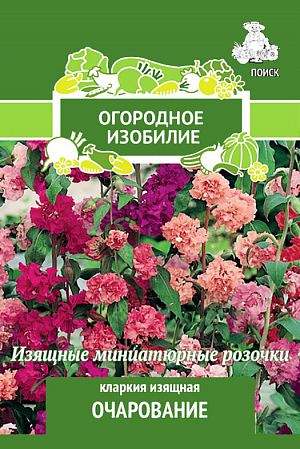 Семена Кларкия изящная Очарование.
Великолепные цветы для больших групп. Растение с прямостоячими, густоветвистыми стеблями. Цветки махровые, похожи на миниатюрные розочки, разной окраски. На ветвях цветение идёт снизу вверх. Используют для посадки на клумбы, рабатки и на срезку.
Посев: апрель-май
Глубина посева: 0.5 см
Время цветения: июль-сентябрь
Схема посадки:20х20 см