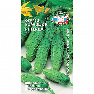 Семена Огурец Герда F1