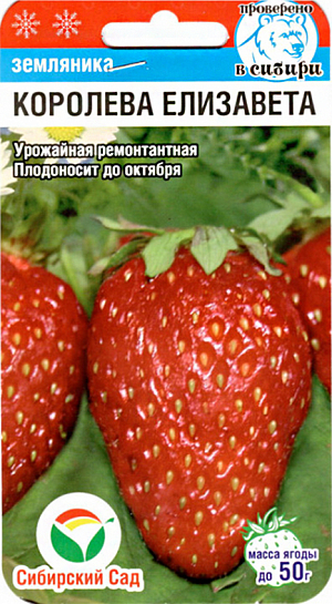 Семена Земляника (клубника) Королева Елизавета крупноплодная