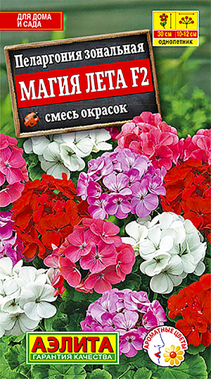Семена Пеларгония Магия Лета смесь окрасок F2.
Одно из самых любимых и неприхотливых растений для дома и сада. Пеларгония (в просторечии “герань”) растет быстро и обильно цветет с весны до осени. Стебли прочные, прямостоячие, высотой 25-35 см. Цветки собраны в крупные зонтиковидные соцветия ø 10-15 см. Растения тепло- и светолюбивые, засухоустойчивые. Великолепно подходят для круглогодичного выращивания на подоконниках в качестве комнатных. Отлично растут в открытом грунте, украшая собой клумбы и рабатки, идеальны для садовых ваз и балконных ящиков. Осенью можно забрать растения домой, а весной вернуть в сад на прежнее место. Агротехника. Выращивают через рассаду. Сеянцы пикируют в фазе одного-двух настоящих листьев. При достижении рассадой 8-10 см верхушки побегов прищипывают, чтобы стимулировать ветвление. Высаживают рассаду в открытый грунт, когда минует угроза заморозков.