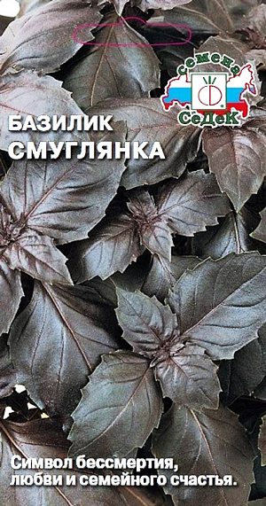 Семена Базилик ароматный Смуглянка