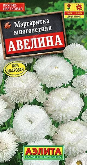 Семена Маргаритка крупноцветковая "Авелина".<br>
 <br>
 &nbsp; Прекрасная маргаритка с густомахровыми соцветиями диаметром 5-6 см. Растение компактное, с прочными, неполегающими цветоносами; отличается быстрым ростом, крепким здоровьем и высокой морозоустойчивостью. Образует ровный цветущий ковер с очень ранним и продолжительным цветением. Сорт красив в бордюрных посадках и контейнерной культуре. Идеально сочетается с ранне-весенними луковичными – тюльпанами, гиацинтами, нарциссами, с виолами и незабудками.<br>
 <br>
Посев. Семена высевают в открытый грунт в июне на постоянное место или на рассаду на отдельную грядку. Всходы появляются через 7-10 дней, их прореживают. Рассаду нужно высадить на постоянное место не позже августа. Зацветает на второй год весной. Растениям необходимы регулярные поливы, прополки, рыхления и подкормки. Для продления цветения необходимо удалять отцветающие корзинки.