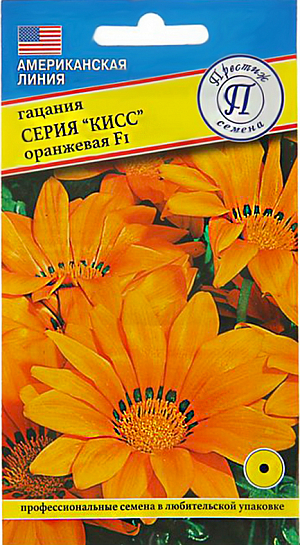 Гацания Кисс Оранжевое пламя F1 – однолетний гибрид, который способен привлечь к себе внимание и произвести впечатление. Его соцветия действительно похоже на розетку из лепестков огня, который полыхает в солнечные дни с середины лета до осени. Гацания Кисс Оранжевое пламя F1: особенности сорта Гацания этого сорта образует невысокую розетку из листьев: всего 20-25 см. В диаметре растение тоже достигает 20-25 см., а диаметр его цветков – 8 см. Оранжевое пламя  способно украсить не только клумбы и бордюры, но и стать частью эффектного букета. 