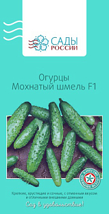 Семена Огурец Мохнатый шмель F1