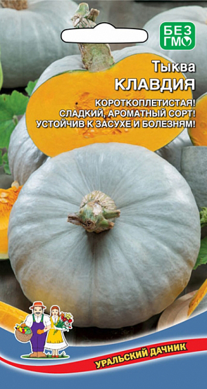 Семена Тыква Клавдия
