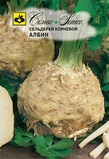 Семена Сельдерей корневой Албин