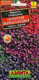 Семена Обриета Гигантский водопад каскадная, смесь сортов Семена Обриета Гигантский водопад каскадная, смесь сортов