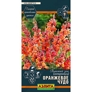Семена Львиный зев Оранжевое чудо