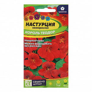 Настурция Король Теодор