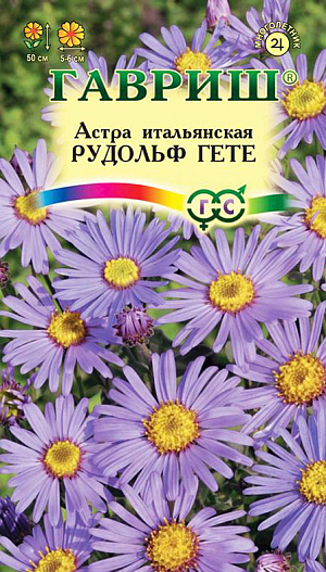 Семена Астра Рудольф Гете из каталога Астра <div>
Семена Астра Рудольф Гете.
</div>
Неприхотливый холодостойкий многолетник высотой до 50 см. Куст полушаровидной формы с хорошо разветвленными опушенными стеблями, листья сидячие, линейноланцетные, расположенные в очередном порядке. Соцветия крупные, до 4-5 см в диаметре, в рыхлых щитках. Язычковые цветки лавандово-голубые, трубчатые – желтые. Цветет с августа до заморозков (в среднем 60-65 дней). Высевают весной на рассаду или в открытый грунт. Возможен подзимний посев. Предпочитает достаточно плодородную водопроницаемую почву, регулярный полив, особенно в период бутонизации. Хороша в срезке. Используется для солнечных миксбордеров, для групповых посадок на солнечных опушках и степных садиках. Оптимальная для прорастания семян температура почвы 10-15оС.