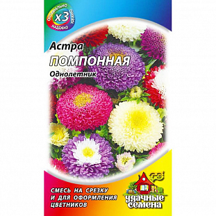 Семена Астра Помпонная