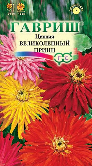 Семена Цинния Великолепный принц смесь.
Неприхотливое однолетнее растение семейства Сложноцветные, с прямостоячим прочным стеблем высотой до 90 см.
Цветение обильное с июня до заморозков. Соцветия крупные, разнообразной окраски. Светолюбива, засухоустойчива и теплолюбива.
Выращивают рассадным способом. Семена высевают в апреле на глубину 1 см.
Оптимальная для прорастания семян температура почвы 20-25о С. Всходы появляются через 4-6 дней.
В начале июня растения высаживают на расстоянии 25-30 см. В южных регионах циннию размножают прямым посевом в грунт в мае с последующим прореживанием. Цветет очень обильно и продолжительно все лето до осенних заморозков. Используют на клумбах, в рабатках, больших массивах и для срезки.
Особенно хорошо циннии смотрятся группой. Цветы долго стоят в воде, сохраняя яркость окраски.