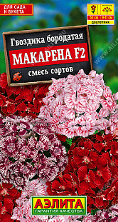 Гвоздика Макарена F2, смесь сортов Гвоздика Макарена F2, смесь сортов