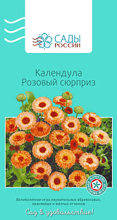 Календула Розовый сюрприз 
