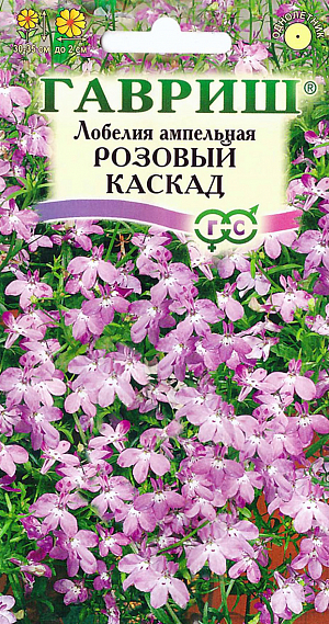 Семена Лобелия Розовый каскад ампельная.
Травянистое растение, с обильно цветущими, свешивающимися побегами до 30-35 см длиной. 
Цветки розовые, до 2 см в диаметре, двугубые, на коротких цветоножках, по одному в пазухах листьев. 
Цветет с июня по сентябрь. Продолжительность и обильность цветения увеличиваются при своевременном удалении отцветших стеблей.
Размножают семенами, посев которых производят в феврале - апреле. 
Семена у лобелии мелкие, поэтому для равномерности посевов их смешивают с сухим песком в соотношении 1:50 и не заделывают в почву.
Выращивают в вазах, горшках, балконных ящиках и висячих корзинах. Цветущими каскадом лобелии украшают подпорные стенки.
Можно высаживать их на клумбах и в бордюрах в качестве почвопокровных растений.